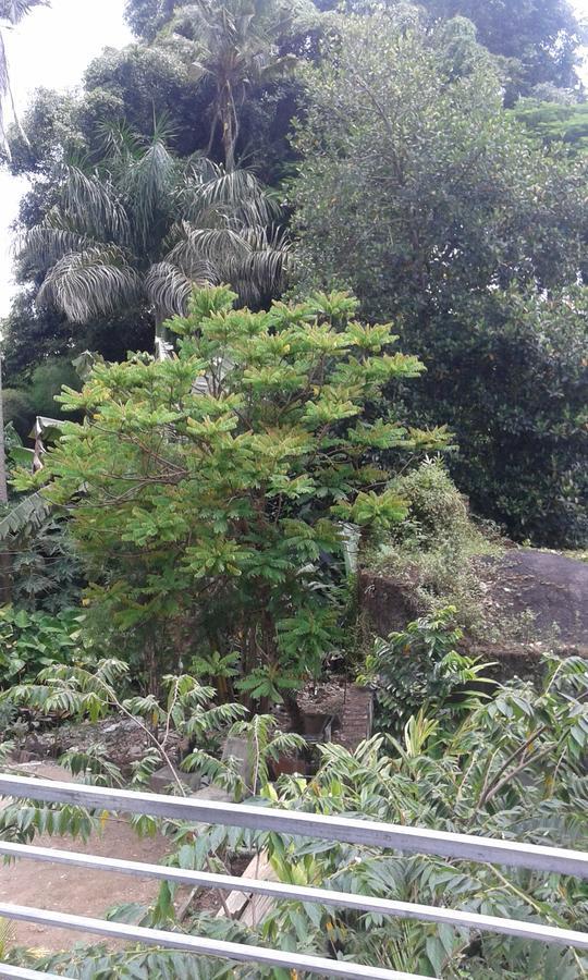 מלון אובוד Madu Sentana House מראה חיצוני תמונה